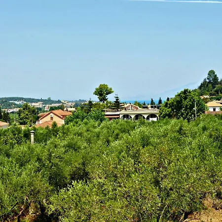 Dimitris Giatras *