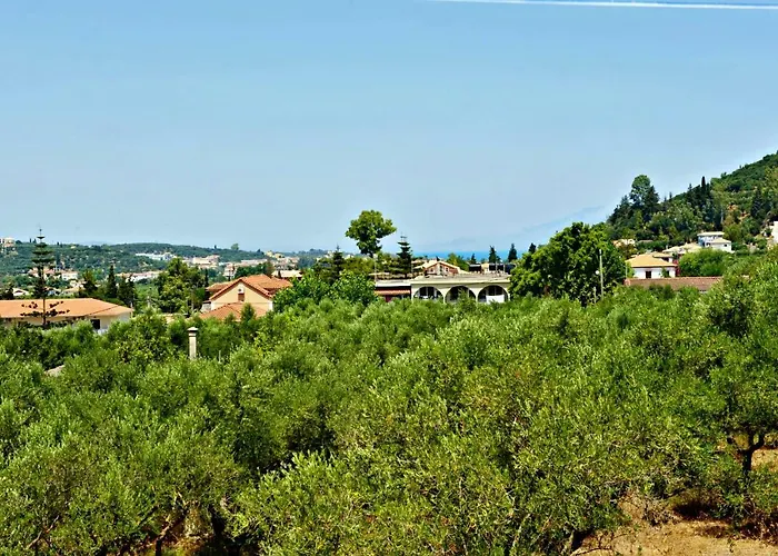 Dimitris Giatras *